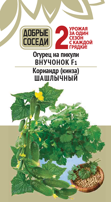 Огурец на пикули ВНУЧОНОК F1 и Кориандр (кинза) ШАШЛЫЧНЫЙ